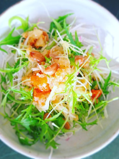 058 大根と水菜のしもつかれサラダ-レシピのメイン写真