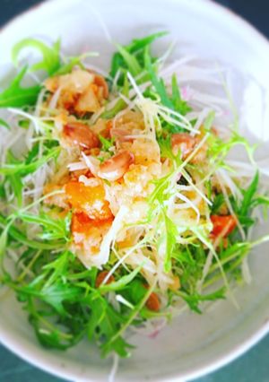 058　大根と水菜のしもつかれサラダ-レシピのメイン写真