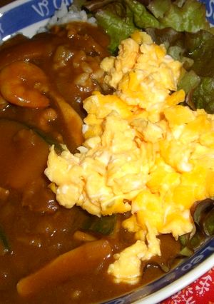 緑のおじさんの✿海老と南瓜の❀カレー✿-レシピのメイン写真