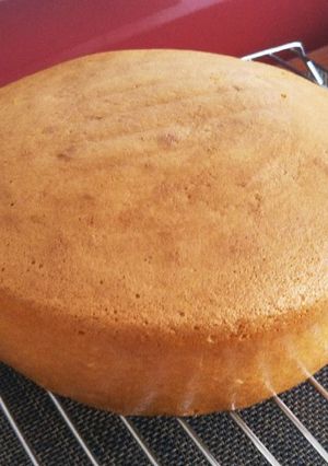 スポンジケーキ-レシピのメイン写真