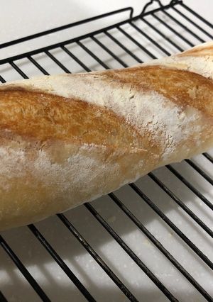 フランスパン ヨーグルト酵母-レシピのメイン写真