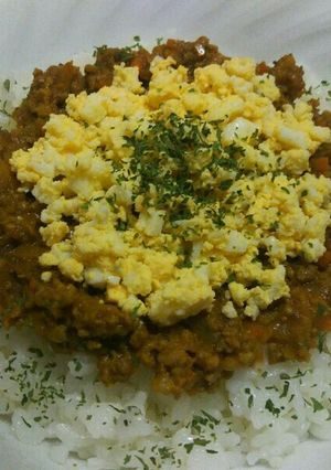 りんごとはちみつ入り！ドライカレー！-レシピのメイン写真