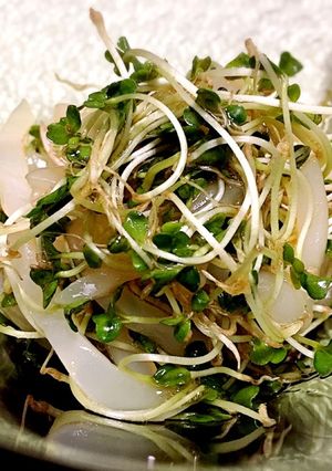 簡単おつまみ★イカそうめんとスプラウト-レシピのメイン写真