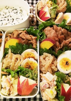 女子高生、男子学生、会社員の私弁当❤59-レシピのメイン写真