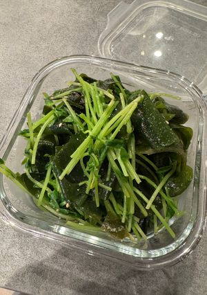レンジでワカメと豆苗のナムル-レシピのメイン写真