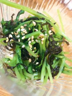 豆苗の塩昆布和え 3分で出来る簡単副菜♪-レシピのメイン写真