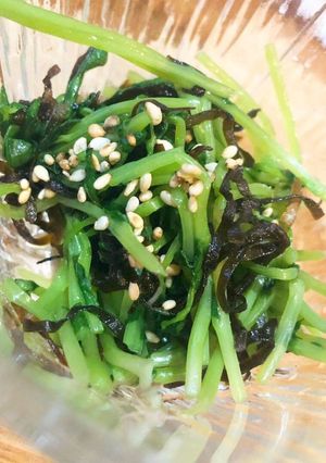 豆苗の塩昆布和え 3分で出来る簡単副菜♪-レシピのメイン写真