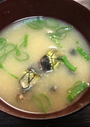 亀の手の味噌汁-レシピのメイン写真