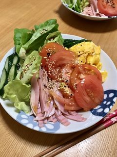 具たっぷり冷やし中華-レシピのメイン写真