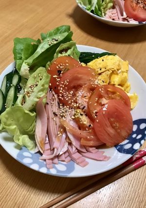 具たっぷり冷やし中華-レシピのメイン写真