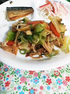 厚揚げと野菜のオイスターソース炒め-レシピのメイン写真
