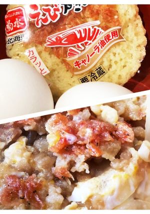 かき揚げと卵で たぬき丼！-レシピのメイン写真