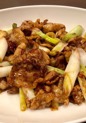 長ねぎと豚バラのオイスターソース炒め-レシピのメイン写真