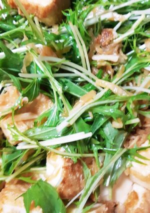 夢の厚揚げと水菜のサラダ-レシピのメイン写真
