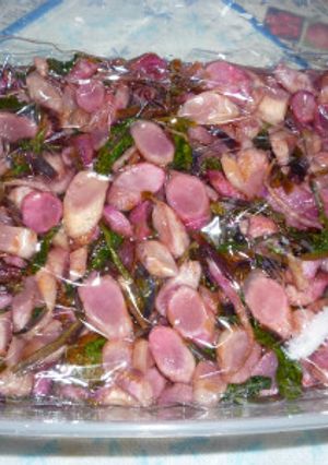 日野菜漬け（浅漬けではない本格漬け）-レシピのメイン写真