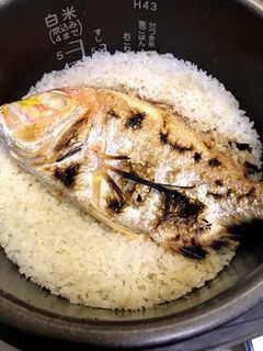 レンコ鯛の炊き込みご飯-レシピのメイン写真
