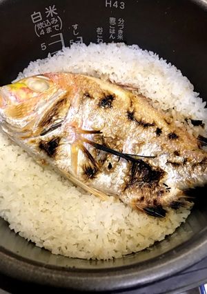 レンコ鯛の炊き込みご飯-レシピのメイン写真