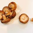 長持ち!生椎茸の冷蔵、冷凍保存方法