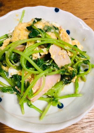 5分で簡単☆豆苗と卵炒め-レシピのメイン写真