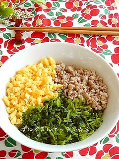 三色そぼろ丼♪-レシピのメイン写真