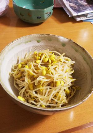 大豆もやしのナムル-レシピのメイン写真