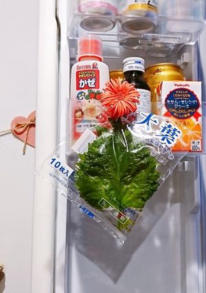 大葉の保存をちょっと簡単エコに(^o^)-レシピのメイン写真