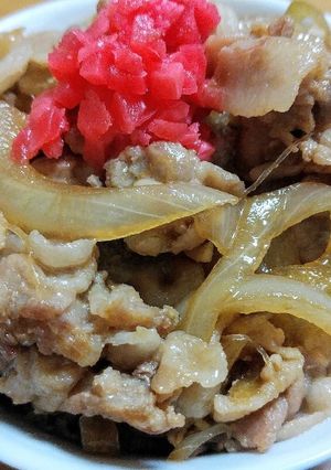 お弁当にも！簡単で美味しすぎる豚丼♪-レシピのメイン写真
