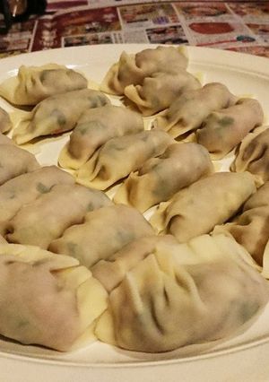 手作り餃子-レシピのメイン写真
