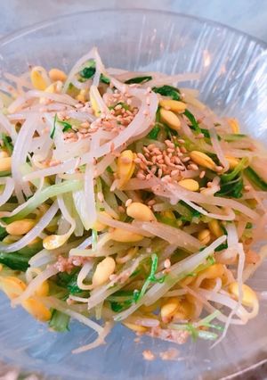 簡単！豆もやしと水菜のナムル-レシピのメイン写真
