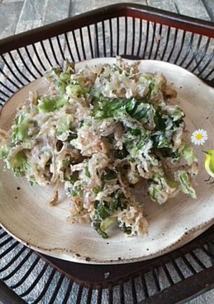 蕪の葉っぱとじゃこのかき揚げ-レシピのメイン写真