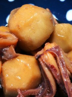 イカと里芋の煮物 *☻*-レシピのメイン写真