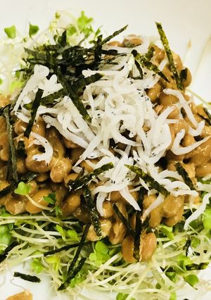 スプラウトと納豆＆しらすの海苔サラダ-レシピのメイン写真