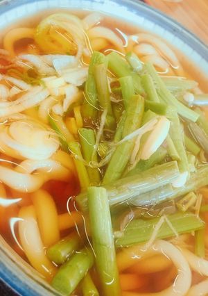 山菜を冷凍しておけばいつでも♪山菜うどん-レシピのメイン写真
