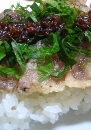 ♪豚肉のにんにくソースかけ♪-レシピのメイン写真