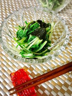 水菜と海苔のわさび和え-レシピのメイン写真