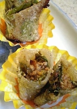 残り物カレーで揚げ春巻き-レシピのメイン写真