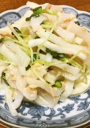 【W大根】大根&貝割れ大根サラダ-レシピのメイン写真