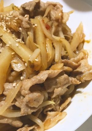 じゃがいもと豚肉の炒め物-ピリ辛--レシピのメイン写真