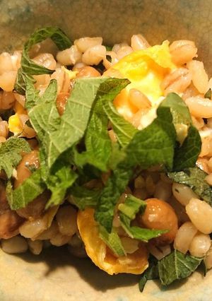 お腹すっきり!もち麦納豆炒飯-レシピのメイン写真