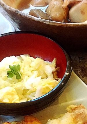 簡単　白菜のコールスロー風ｻﾗﾀﾞ-レシピのメイン写真