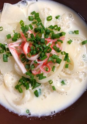 味付けは白だしだけの簡単豆乳うどん-レシピのメイン写真