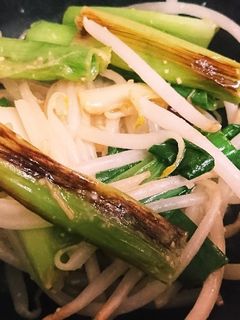 ねぎともやしの味噌炒め-レシピのメイン写真