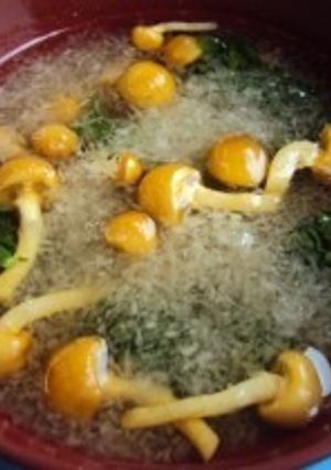 なめことかぶのおろし汁-レシピのメイン写真