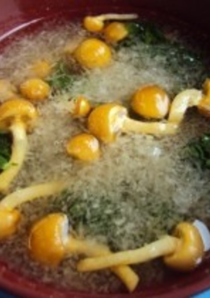なめことかぶのおろし汁-レシピのメイン写真
