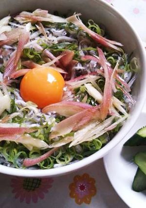 簡単過ぎ!胡麻塩風絶品過ぎしらす丼⭐-レシピのメイン写真