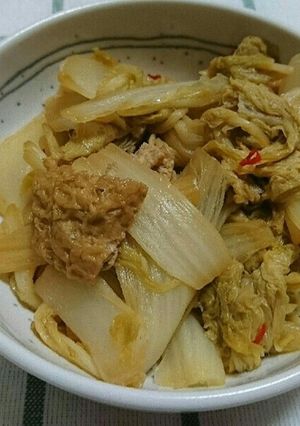 白菜と油揚げのピリ辛煮-レシピのメイン写真