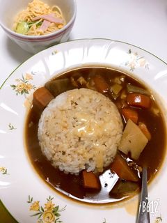 筑前煮リメイク和風カレー-レシピのメイン写真
