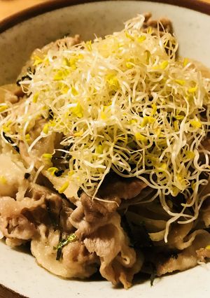 シンプル具材のあまから豚丼スプラウト盛り-レシピのメイン写真