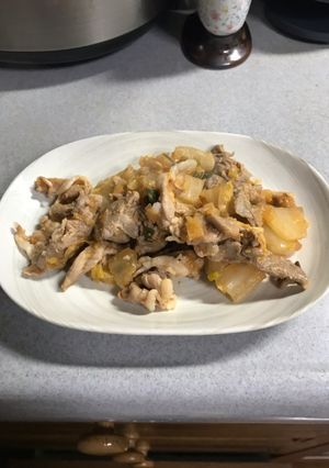豚肉と白菜のピリ辛炒め-レシピのメイン写真
