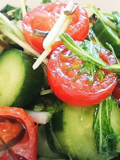 水菜と塩昆布のサラダ-レシピのメイン写真